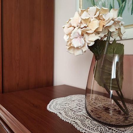 شقة White Column House Diosd المظهر الخارجي الصورة